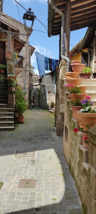 La Chascona Di Farnese Casa Di Tufo Nel Borgo Appartement Buitenkant foto