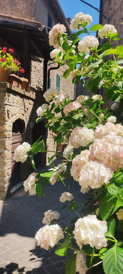 La Chascona Di Farnese Casa Di Tufo Nel Borgo Appartement Buitenkant foto